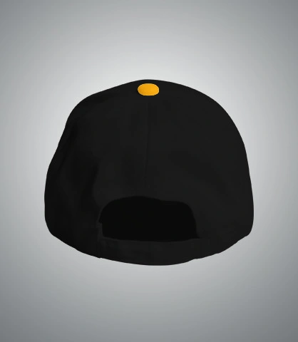 biryanizcap back of harshlogo in UK