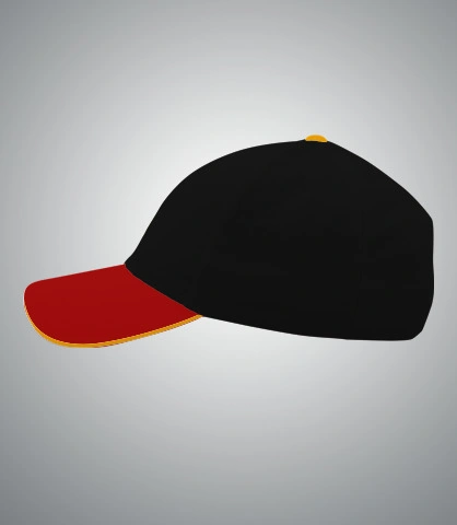 biryanizcap left sleeve of harshlogo in UK