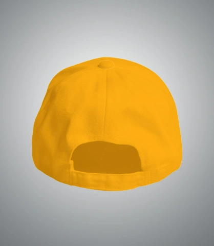 abhaybdaycap back of harshlogo in India