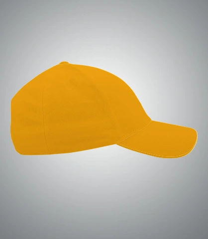 abhaybdaycap right sleeve of harshlogo in India