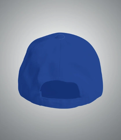 abhaybdaycap back of harshlogo in India