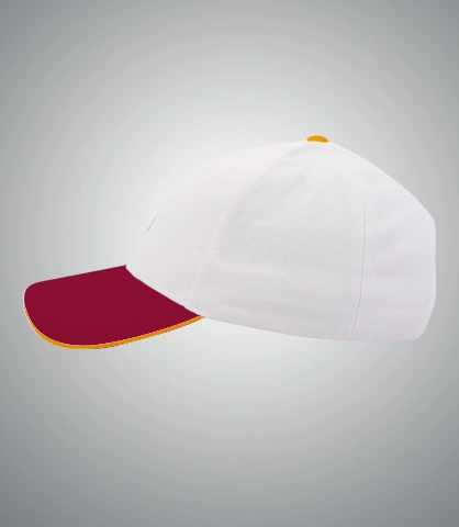 ppcap left sleeve of harshlogo in India