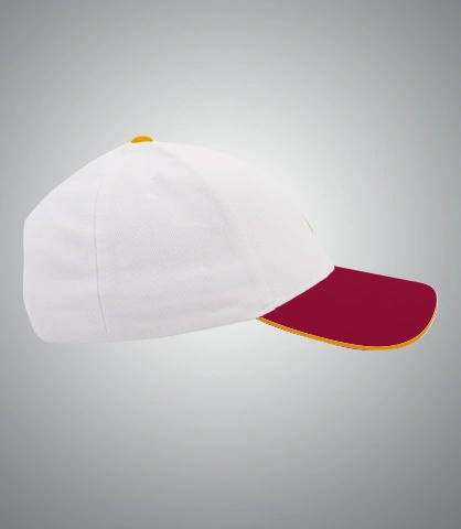 ppcap right sleeve of harshlogo in India