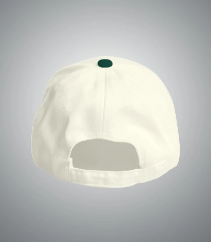 ecoinspirecap back of harshlogo in India