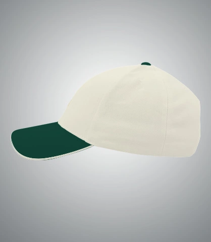 ecoinspirecap left sleeve of harshlogo in India