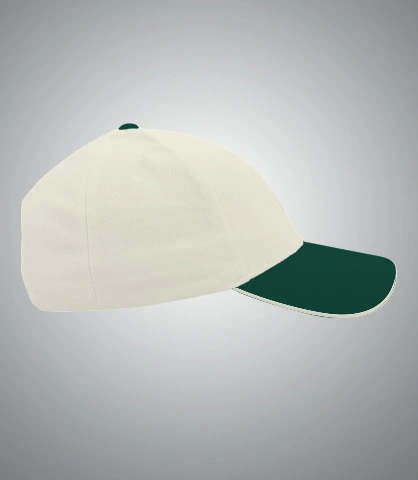 ecoinspirecap right sleeve of harshlogo in India
