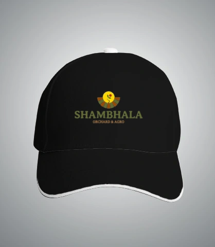 T Shirts shambhala T-Shirt