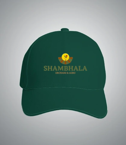 T Shirts shambhala T-Shirt
