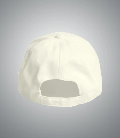 podidosacap back of harshlogo in India