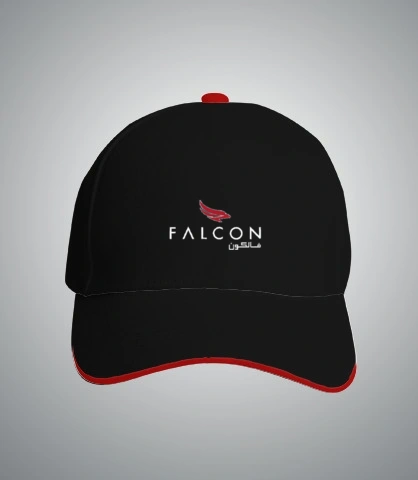 TShirt falcon T-Shirt
