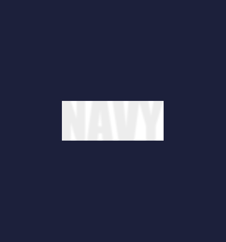 indian navy