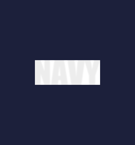 indian navy