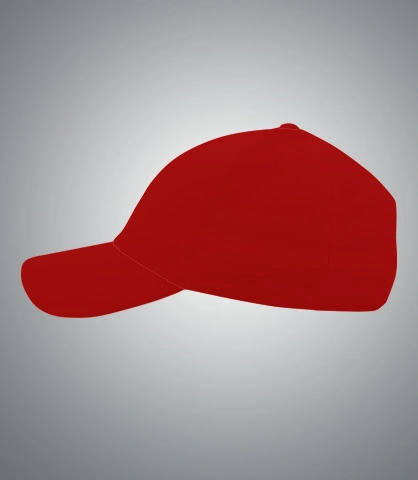 SGFRD left sleeve of ascdse in India