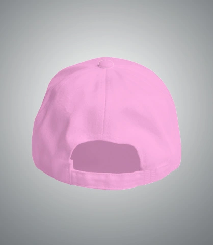 laviepariscp back of harshlogo in India