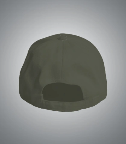 vincap back of vincap in India