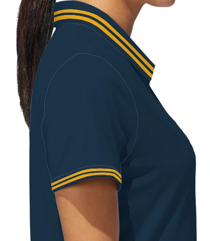 paladin right sleeve of paladin in India