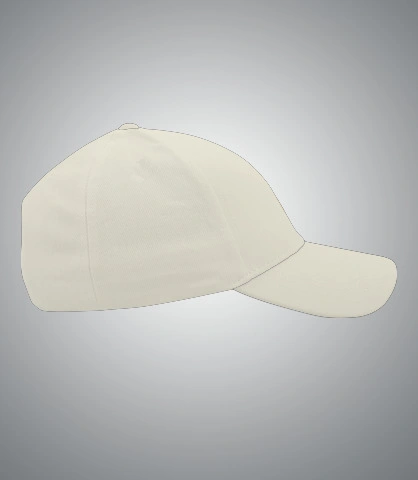 biswanath right sleeve of bfchgfh in India