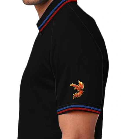 airforce left sleeve of airforce1 in India
