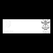 NDAINJUN