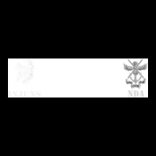 NDAINJUN