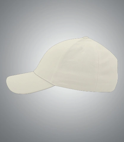 biswanath-caps left sleeve of dfgdfdfg in India