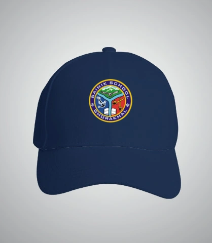 TSHIRTS sainik T-Shirt