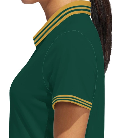 sfsf left sleeve of dtgxv in India