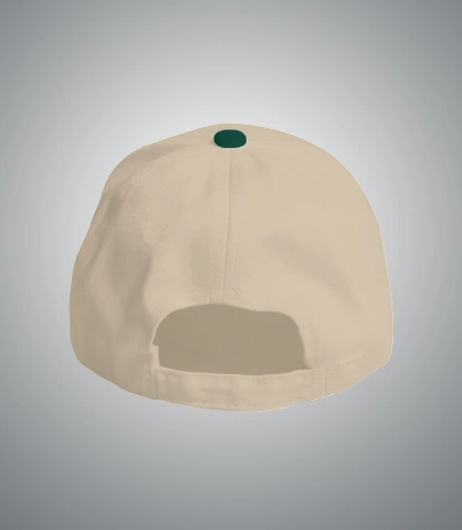 szfcc back of asdd in India