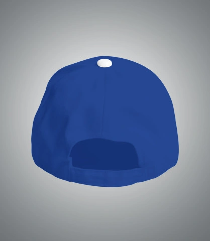 sampleCaps back of samplevs in India