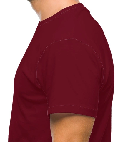 wings left sleeve of wings1 in India