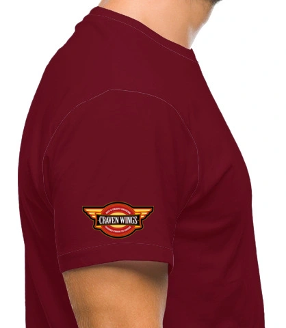 wings right sleeve of wings1 in India