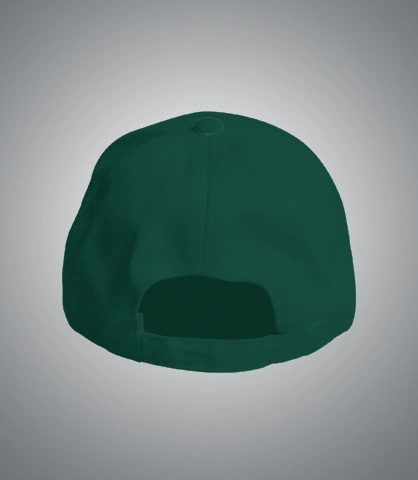emerald-caps back of dfhdrfghtf in India