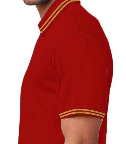 ks left sleeve of ks2 in India