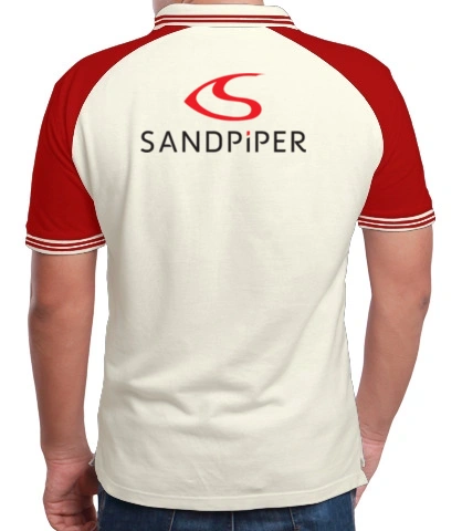 Sand-piper back of vbgcnjhb in India