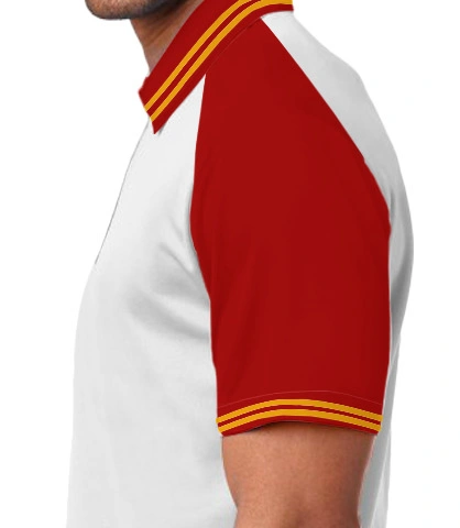 sdstmpts left sleeve of harshlogo in India