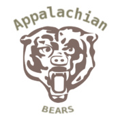 bears-