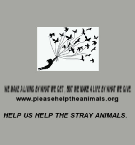 help us help the stray animals