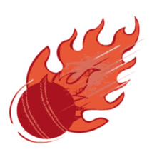 Custom cricket-logo-ball-bat-wickets T-Shirts | Design cricket-logo ...