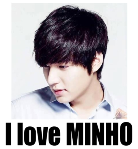 lee min ho fans