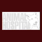 animal-hospital
